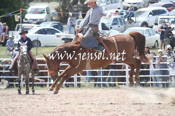 BungendoreRodeo2013_1528