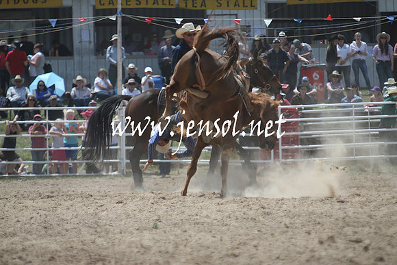 BungendoreRodeo2013_1343