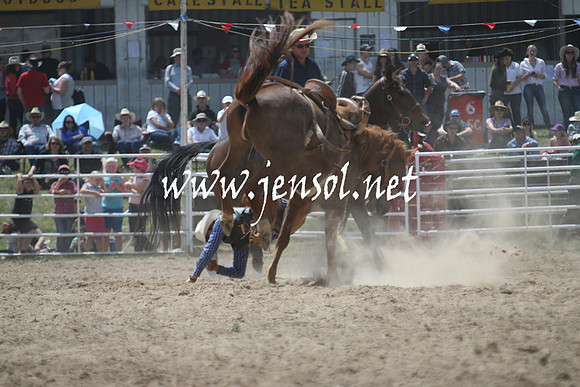 BungendoreRodeo2013_1342