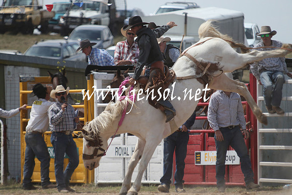 BungendoreRodeo2013_1411
