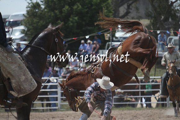 BungendoreRodeo2013_1494