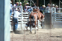GundagaiRodeo_0955