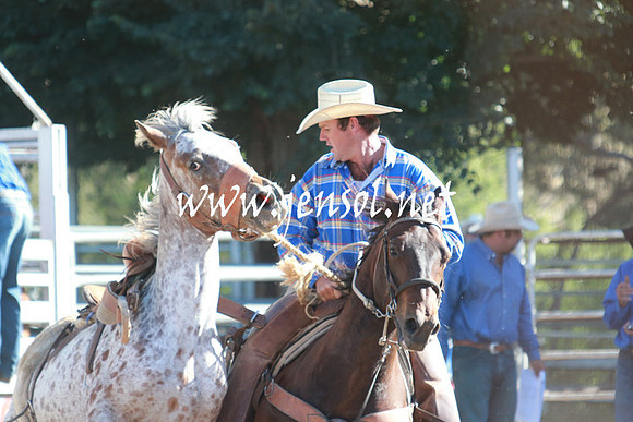 GundagaiRodeo_1303