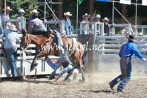 GundagaiRodeo_0947