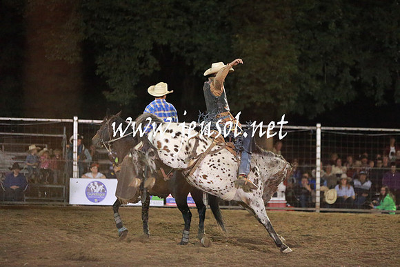GundagaiRodeo_2186