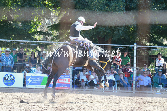 GundagaiRodeo_0982