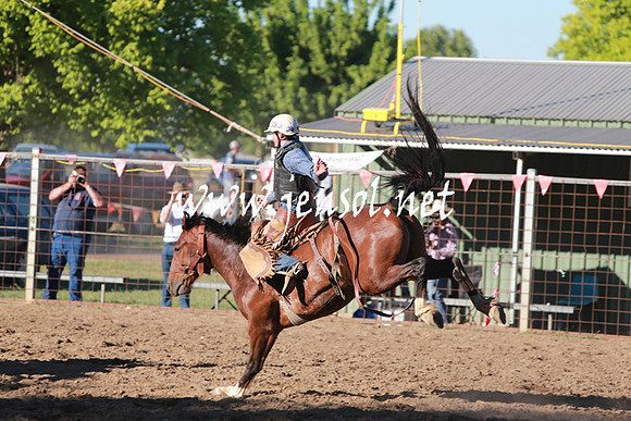 GundagaiRodeo_1463