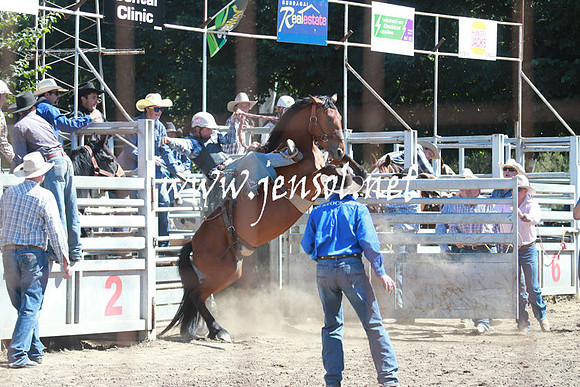 GundagaiRodeo_0932