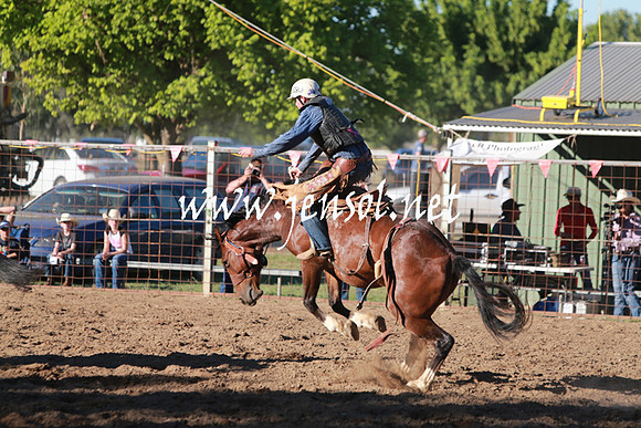 GundagaiRodeo_1465