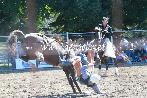 GundagaiRodeo_1011