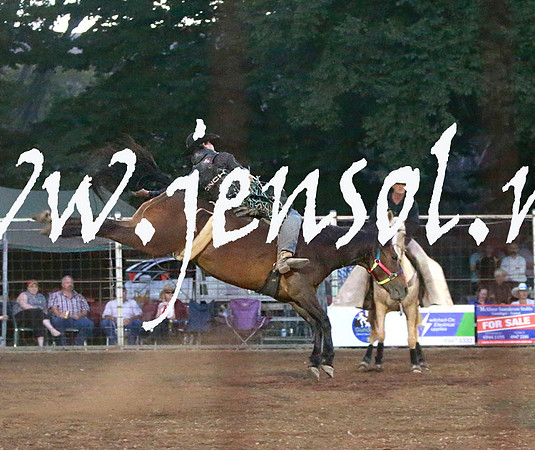 GundagaiRodeo_1612