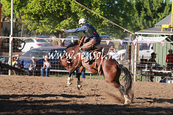 GundagaiRodeo_1466