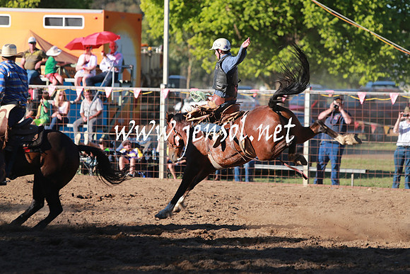 GundagaiRodeo_1469