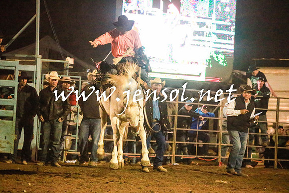 TumutRodeo2016Three_6452