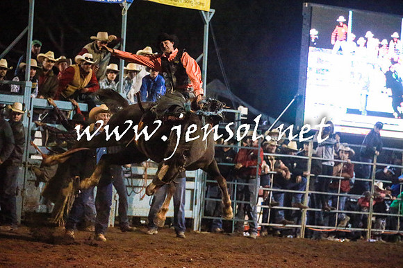 TumutRodeo2016Three_6631