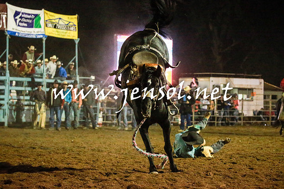 TumutRodeo2016Three_6705