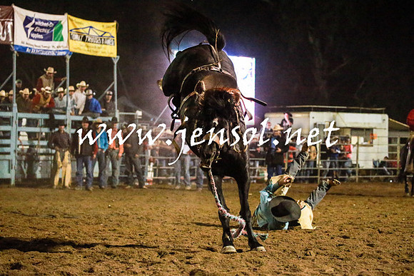 TumutRodeo2016Three_6708
