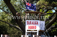 TaralgaCampdraftFri2017_3038