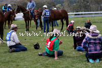 TumbarumbaStockmensChallenge_1009