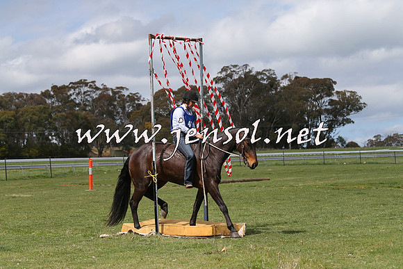 TumbarumbaStockmensChallenge_1006