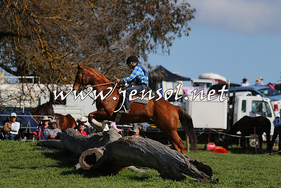 TumbarumbaStockmensChallenge_1531