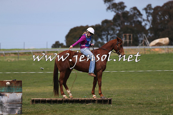 TumbarumbaStockmensChallenge_1002