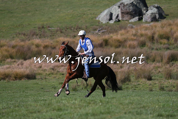 TumbarumbaStockmensChallenge_1452