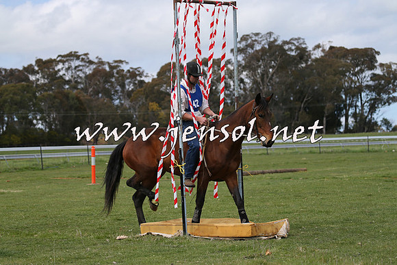 TumbarumbaStockmensChallenge_0993