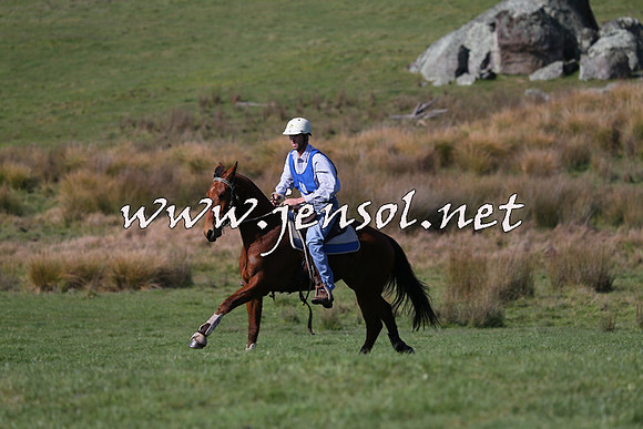 TumbarumbaStockmensChallenge_1453