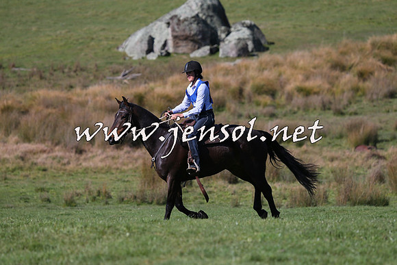 TumbarumbaStockmensChallenge_1492