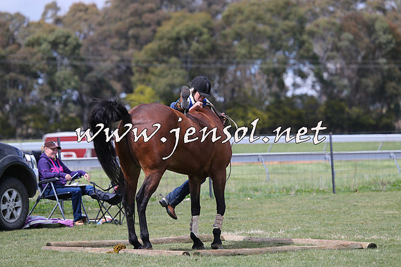 TumbarumbaStockmensChallenge_1011