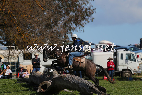 TumbarumbaStockmensChallenge_1457
