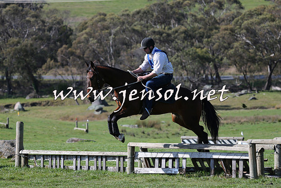 TumbarumbaStockmensChallenge_1476