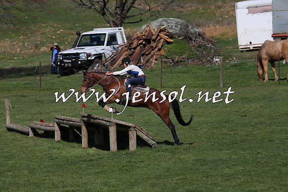 TumbarumbaStockmensChallenge_1507