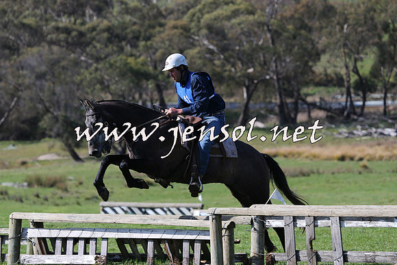 TumbarumbaStockmensChallenge_1466