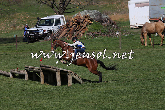 TumbarumbaStockmensChallenge_1509