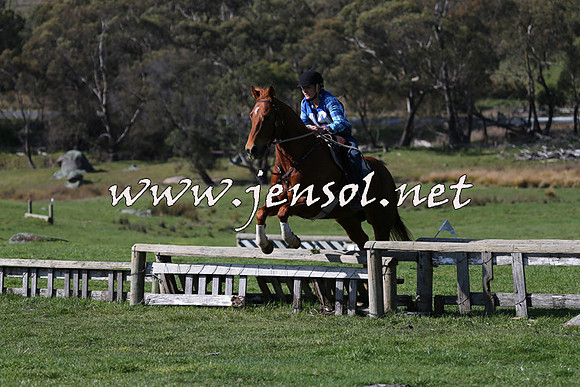 TumbarumbaStockmensChallenge_1537