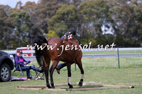 TumbarumbaStockmensChallenge_1012