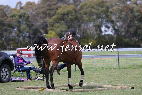 TumbarumbaStockmensChallenge_1012