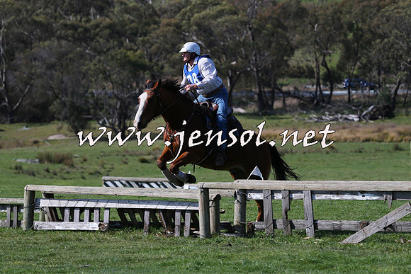 TumbarumbaStockmensChallenge_1429