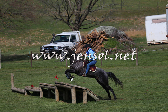 TumbarumbaStockmensChallenge_1440