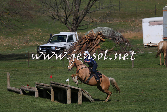 TumbarumbaStockmensChallenge_1561