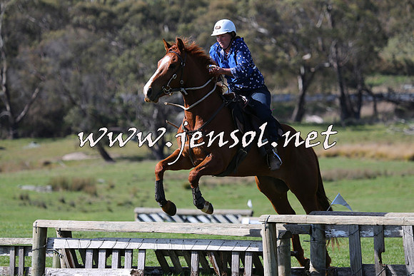 TumbarumbaStockmensChallenge_1417