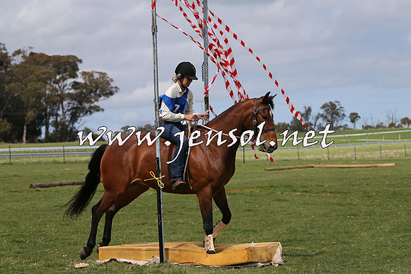 TumbarumbaStockmensChallenge_1014