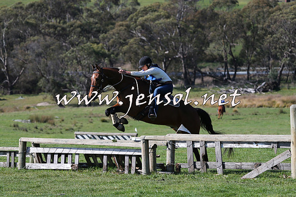 TumbarumbaStockmensChallenge_1516