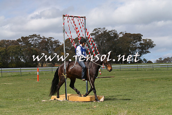 TumbarumbaStockmensChallenge_1007