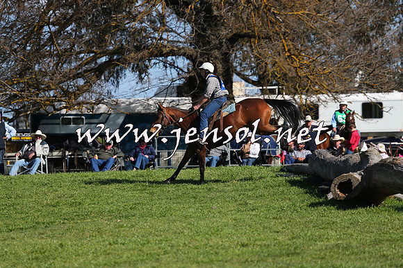 TumbarumbaStockmensChallenge_1541