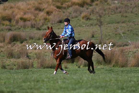TumbarumbaStockmensChallenge_1535
