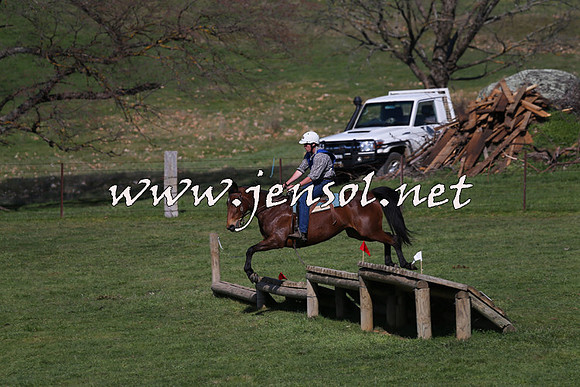 TumbarumbaStockmensChallenge_1543
