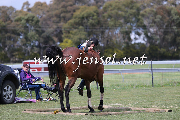 TumbarumbaStockmensChallenge_1010